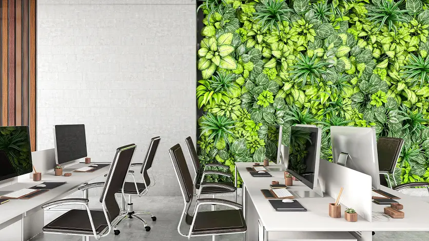 Warna Cat Kantor yang Hijau Natural – Segar & Anti Stres