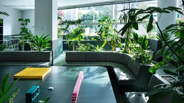 Renovasi Kantor Ramah Lingkungan (Green Office Concept)
